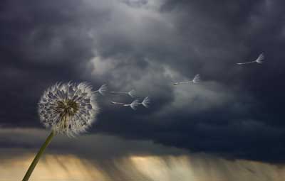 After A Storm Comes Calm