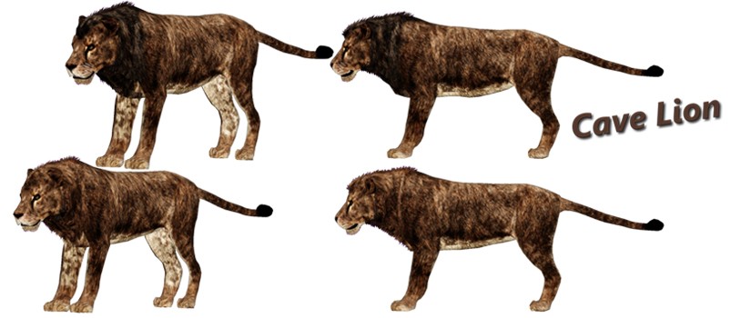 Stone Age Humans Hunted Cave Lions for Their Pelts, Research