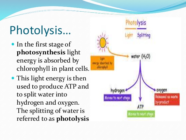 NEW FORM OF PHOTOLYSIS DISCOVERED [1 Min Read]