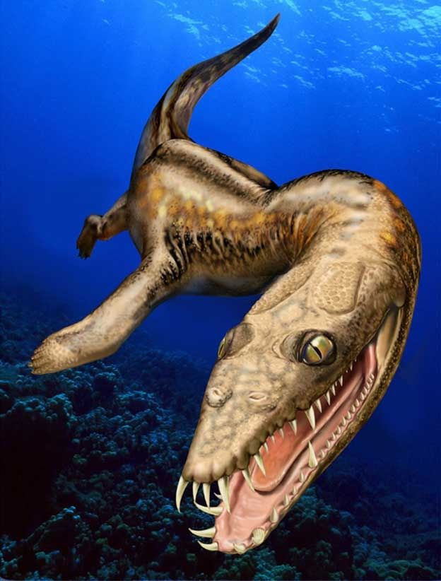 A Sea Creature that is Older than Dinosaurs [1 min read]