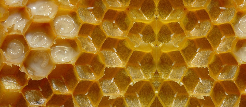 honeycomb shape