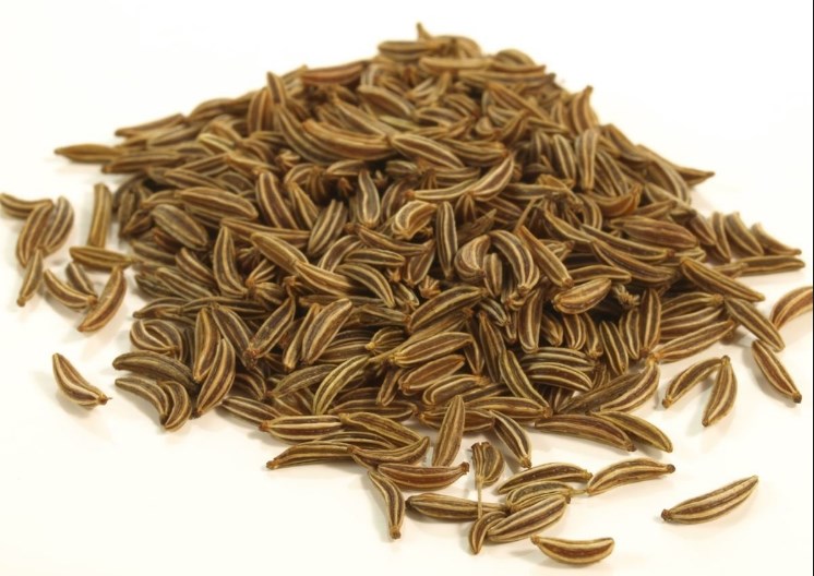 Cumin History, Origin and Uses [1 min read]