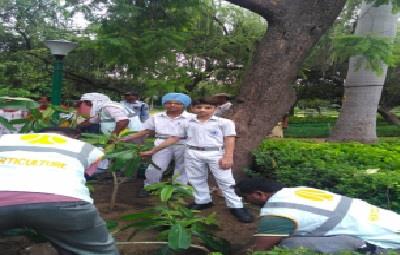  Tree Plantation Drive