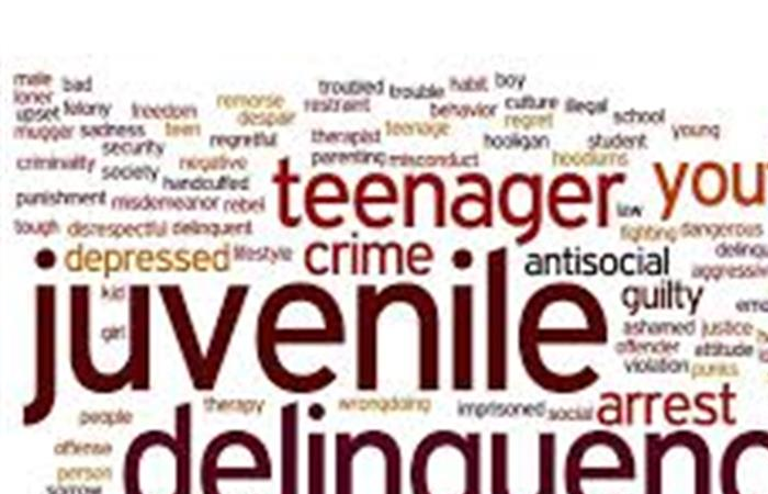 Juvenile Delinquency in India