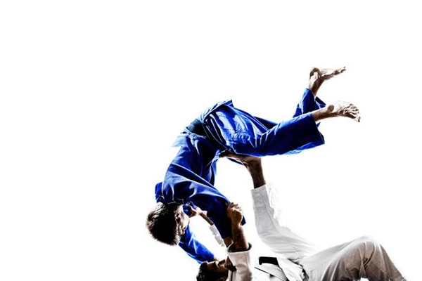 Download Wallpapers Judo, Fight, Training, Technique, Skill, Sports ... Desktop  Background