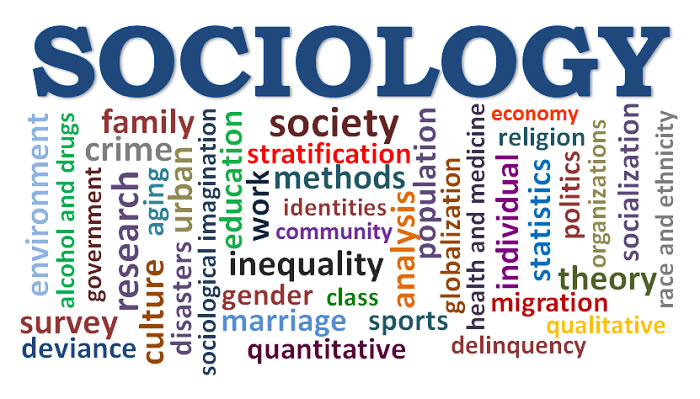 Are You Fascinated by Human Behavior? Explore Sociology