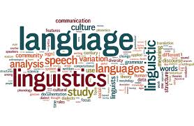Having Interest in Learning Languages? Stop Here and Read