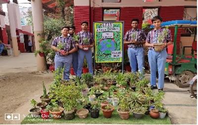 Van Mahotsav Celebration At Little Flowers International School 
