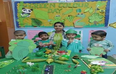 Green Colour Day Celebrated At Goodwill School 