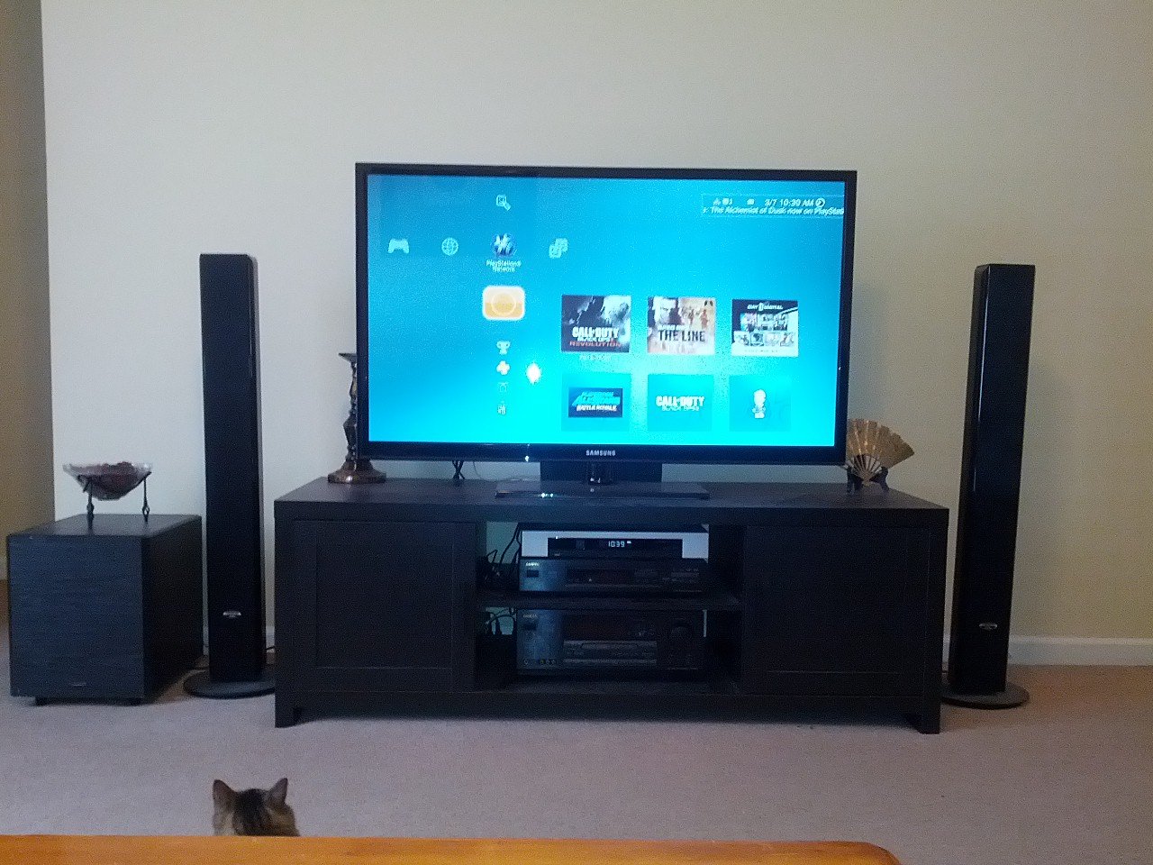 Should Families Have A Television In The House Or Not! [1 min read]