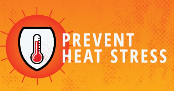 By 2100, Heat Stress May Impact Over 1.2 Billion People Annually [1 min ...