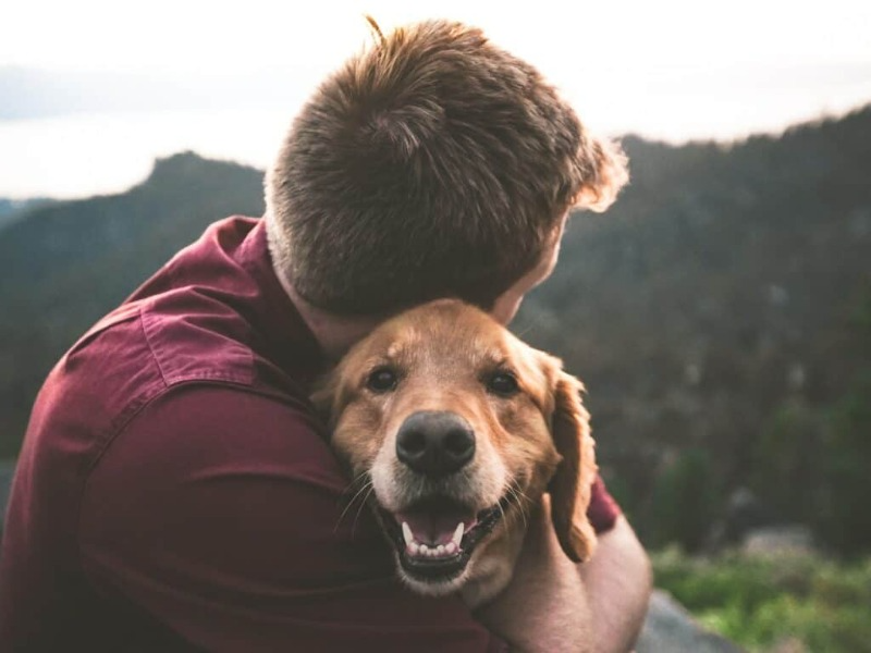 Advantages Of Having A Pet Dog [1 min read]