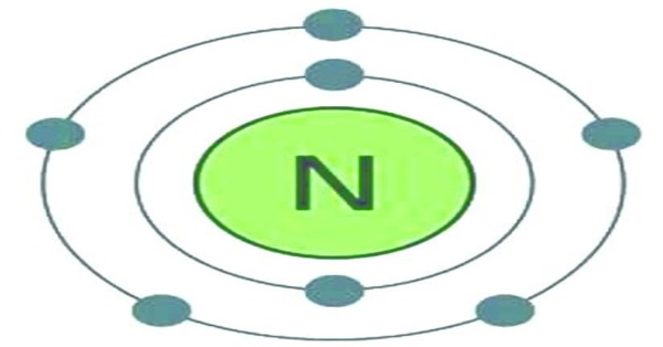 The Requirement Of Nitrogen For Life [1 min read]