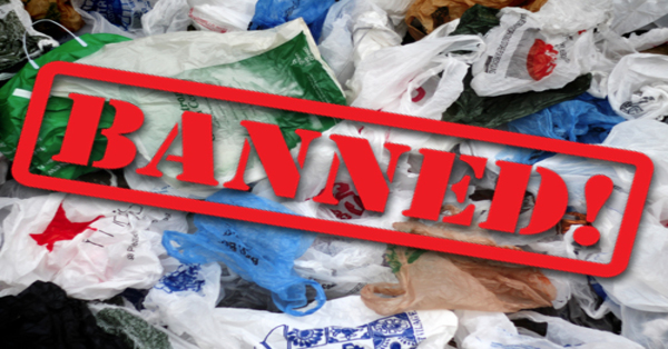 ban on plastic environment vs. economy essay in english