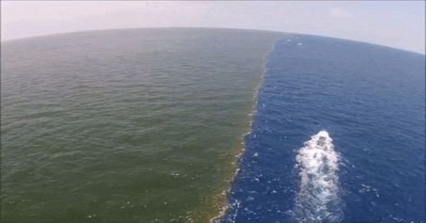 Gulf Of Alaska: Where Two Oceans Meet [1 min read]