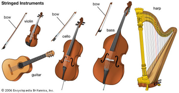 Types Of String Instruments [1 min read]
