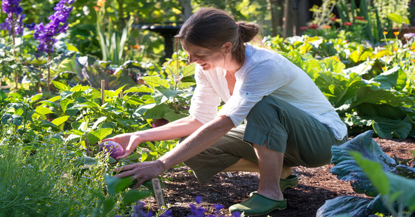 The Pleasures Of Gardening [1 min read]