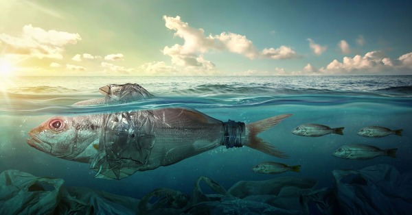 Marine Pollution & Its Effects [1 min read]