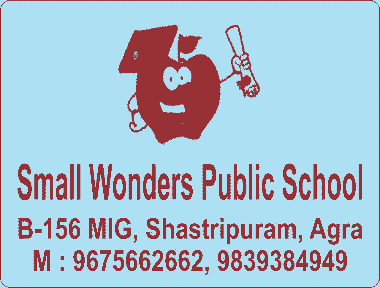 Small Wonders Public School