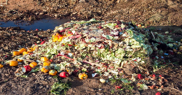 How To Stop The Wastage Of Food? [1 Min Read]