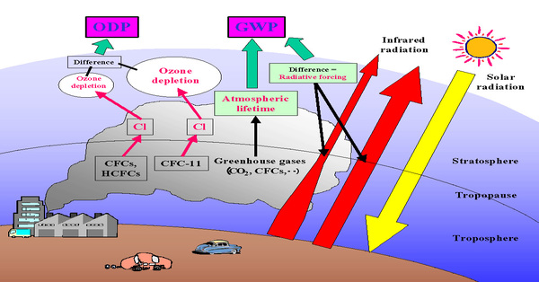 global warming effects on the ozone layer