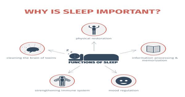 Importance of Sleep for a Healthy Life [1 min read]