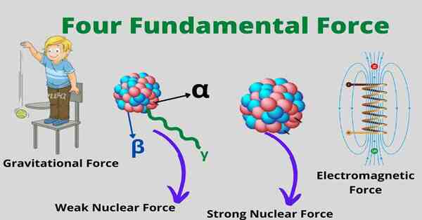 four fundamental forces of real